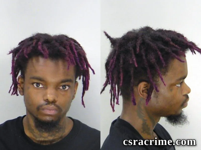 Cameron Mckinney booking photo