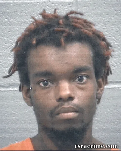 Cameron Mckinney booking photo