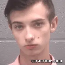 Cameron Pierson booking photo