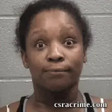 Camisha Donnette Sanders booking photo
