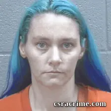 Candice Amerson booking photo