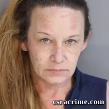 Candice Lee booking photo