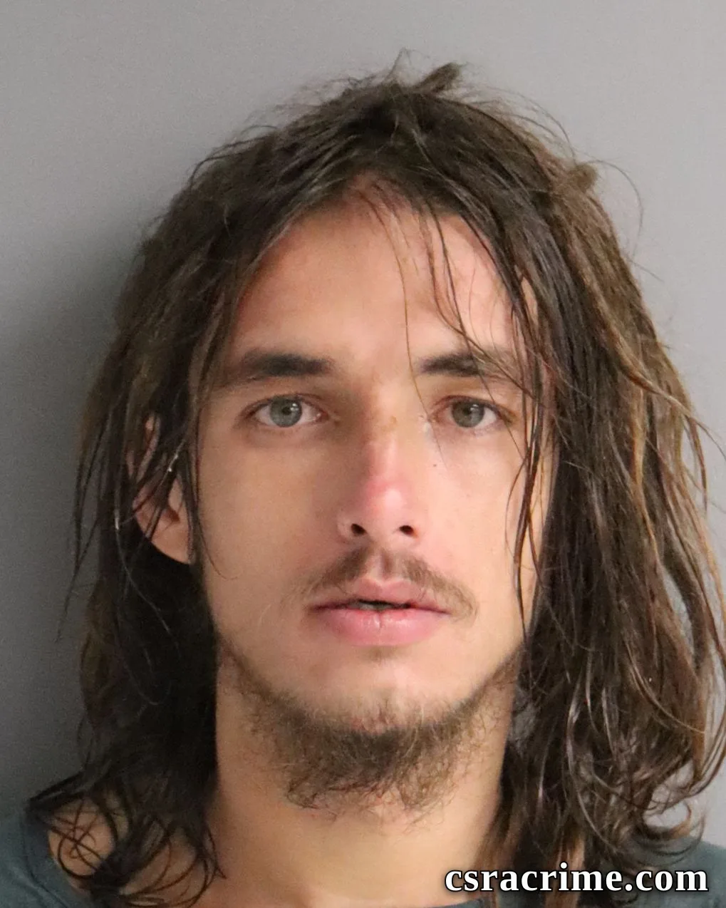 Carl Anderson JR booking photo