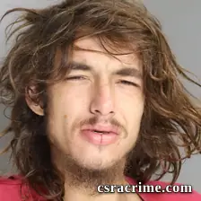 Carl Anderson JR booking photo