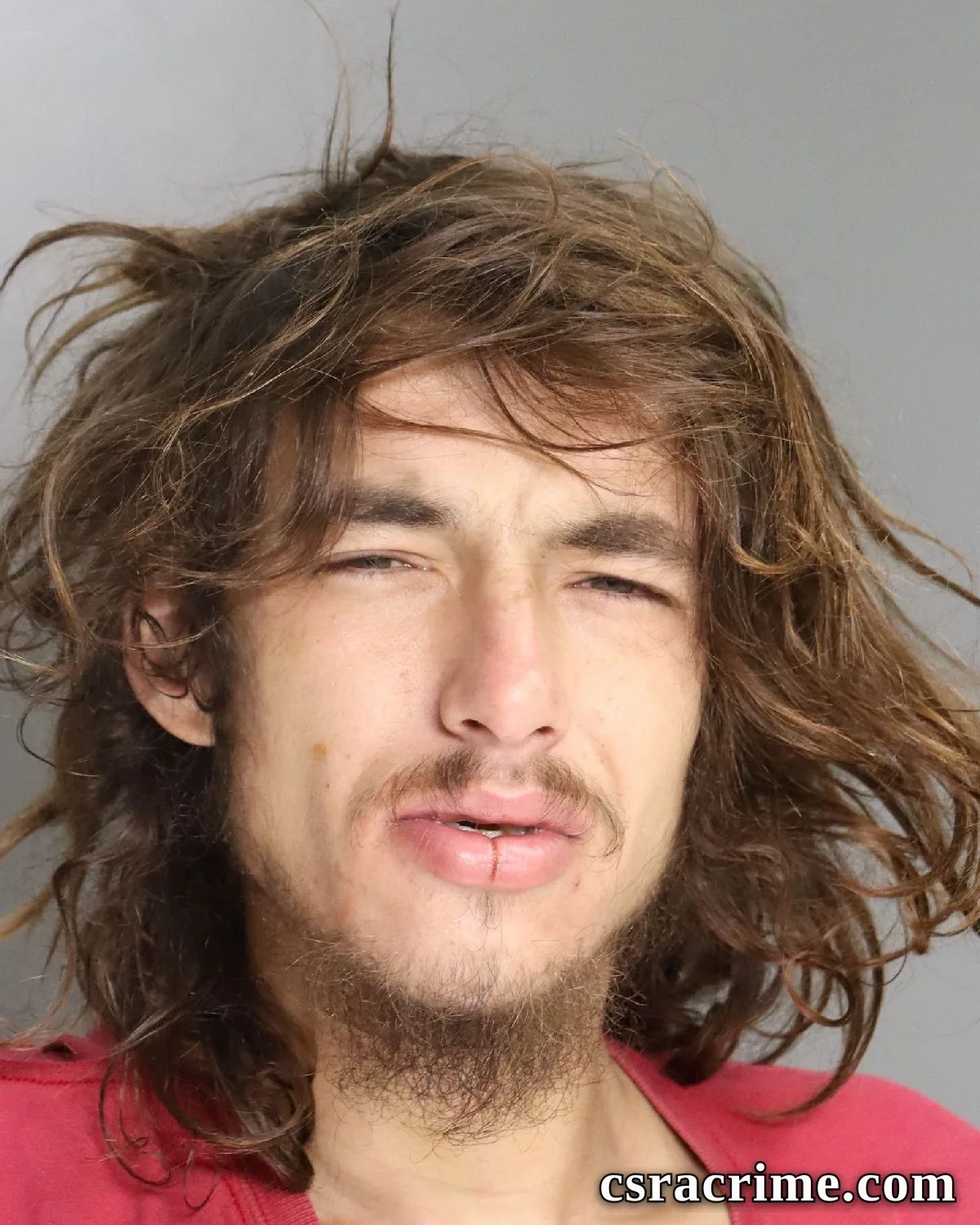 Carl Anderson JR booking photo