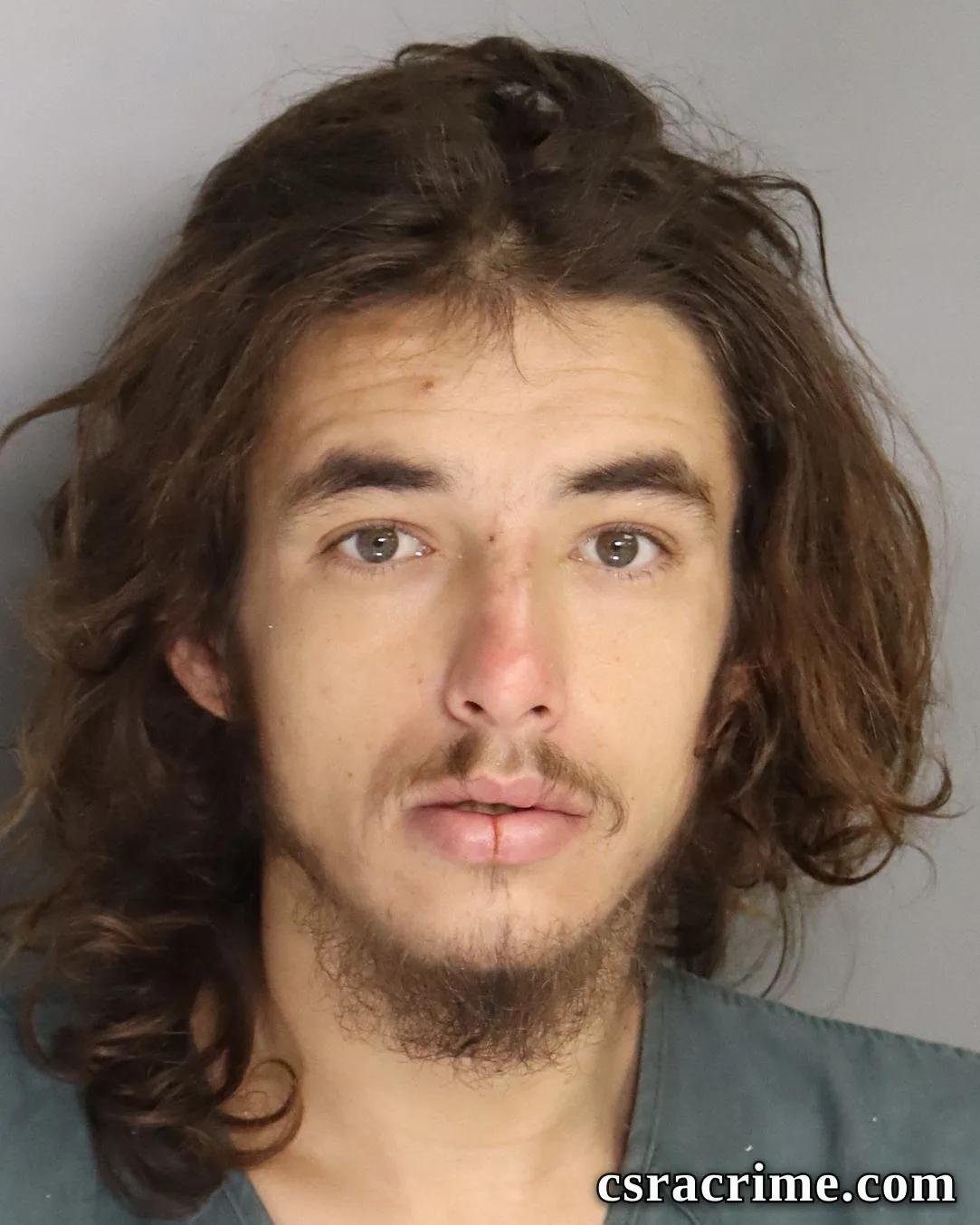 Carl Anderson JR booking photo