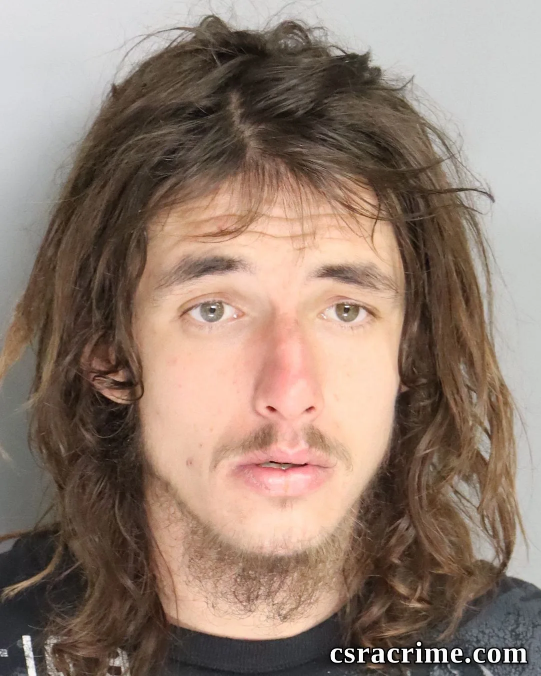 Carl Anderson JR booking photo
