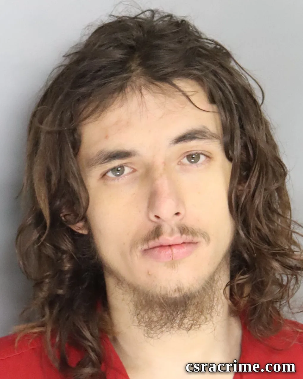 Carl Anderson JR booking photo