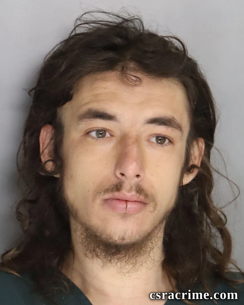 Carl Anderson JR booking photo