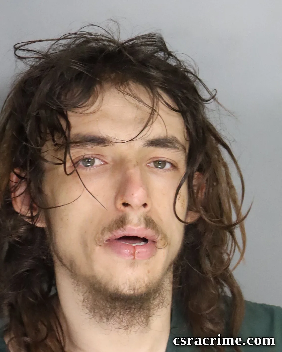 Carl Anderson JR booking photo