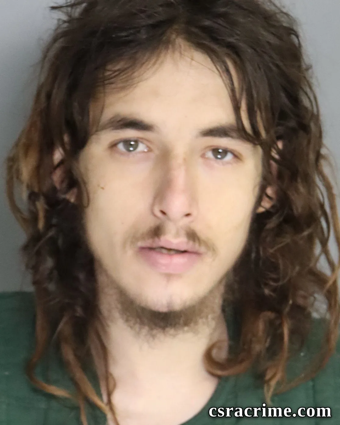 Carl Anderson JR booking photo