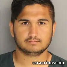 Carmen Stoican booking photo