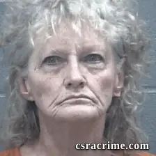 Carol Kalantar booking photo