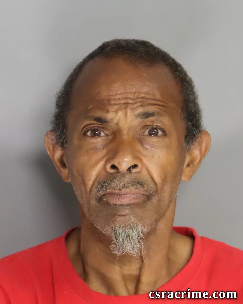 Carol Lee booking photo