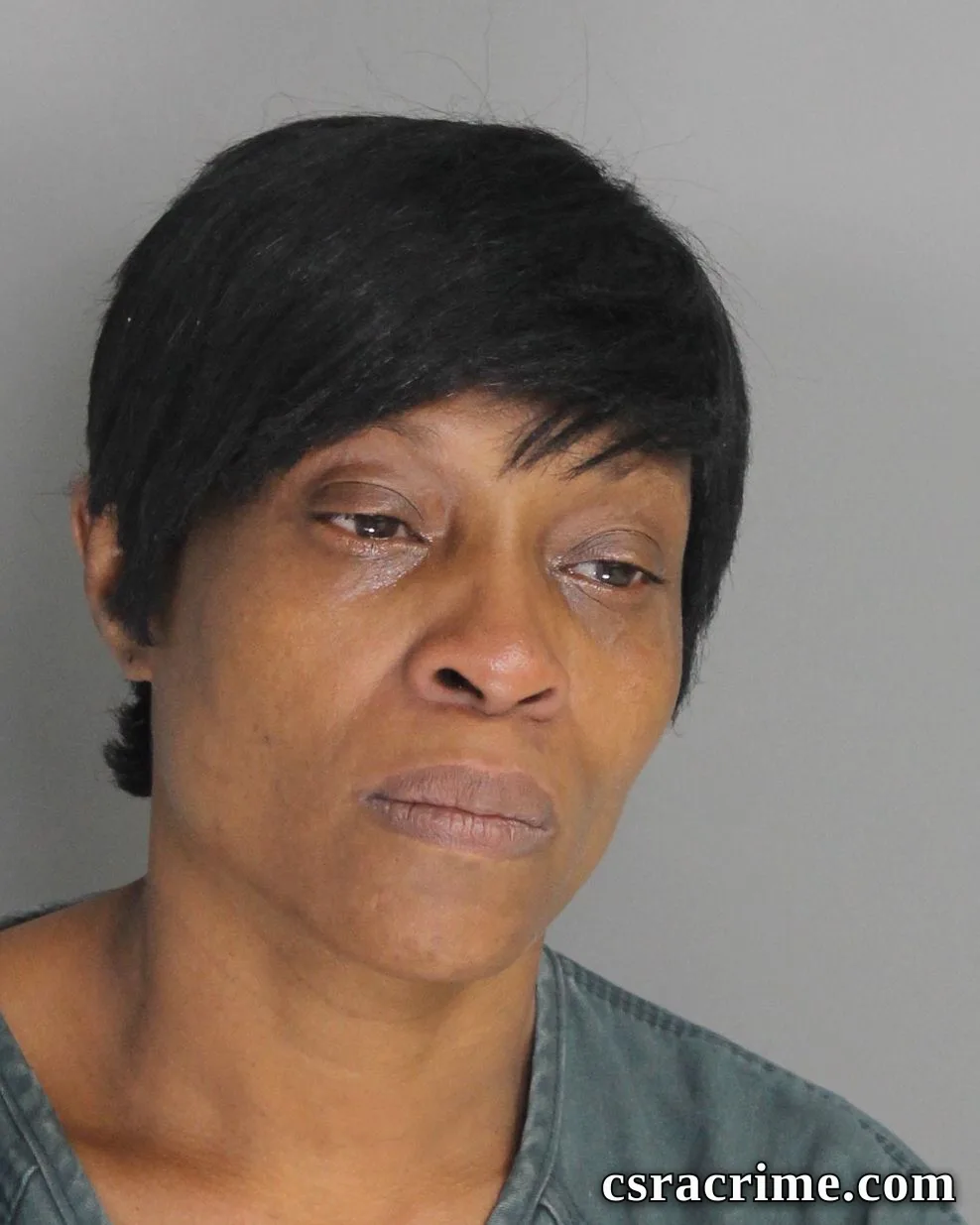 Carolyn Abney booking photo
