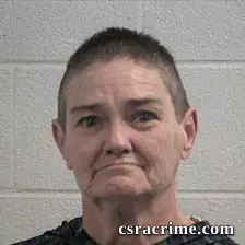 Carolyn Lynn Poston booking photo