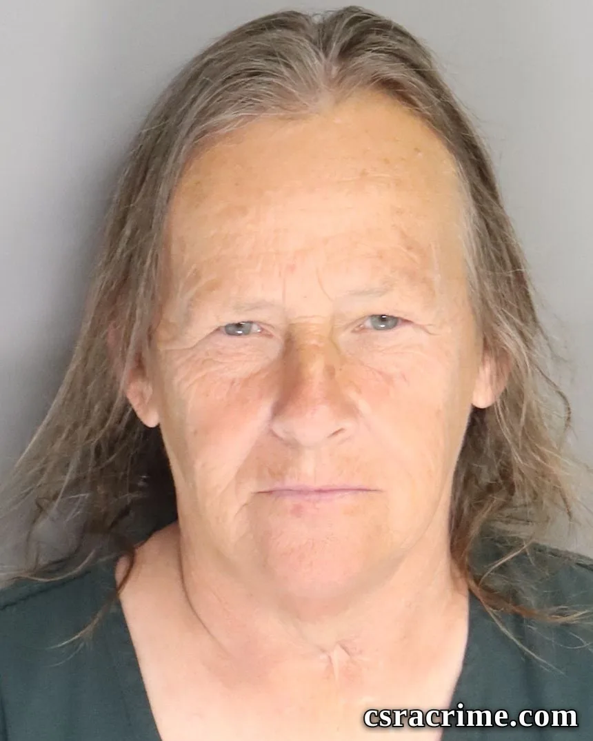 Carolyn Redd booking photo