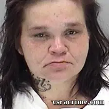 Carrie Highsmith booking photo