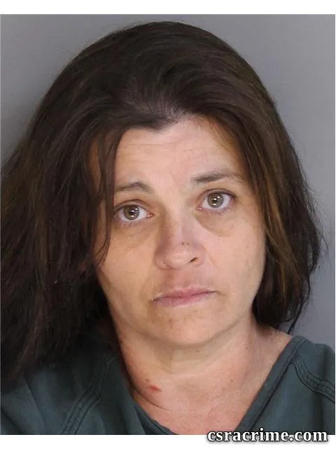 Casey Switzer booking photo