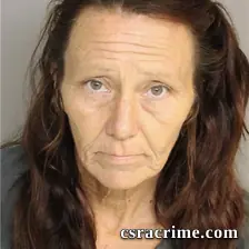 Catherine Porter booking photo