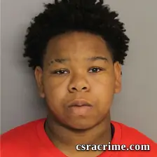 Catrice Pressley booking photo