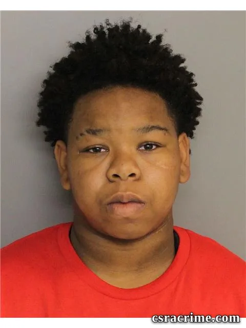 Catrice Pressley booking photo
