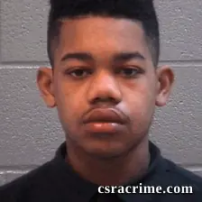 Caylin Griggs booking photo