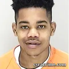 Caylin Griggs booking photo