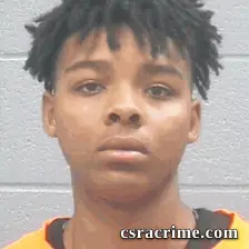 Celeste Adams booking photo