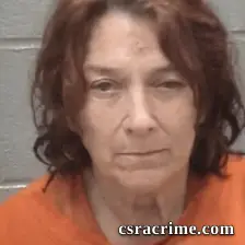 Celeste Johnson Shultz booking photo