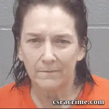 Celeste Shultz booking photo