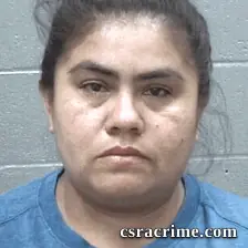 Cenelia Gonzalez-Rios booking photo