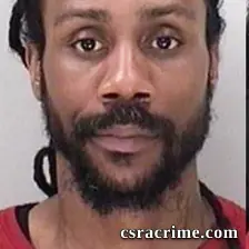 Chanavous German booking photo