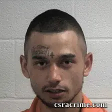 Chance Joseph Mckenna booking photo