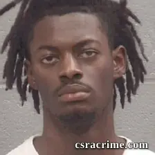 Chandler Chance Webb booking photo