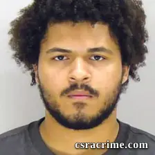 Chandler Fegan booking photo