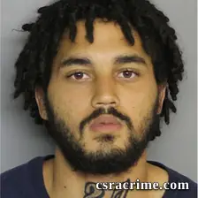 Chandler Mann booking photo