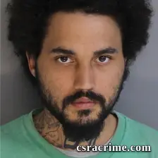 Chandler Mann booking photo