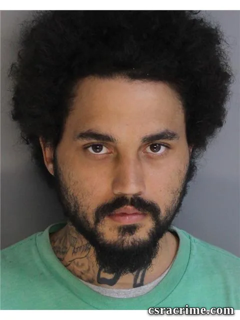 Chandler Mann booking photo