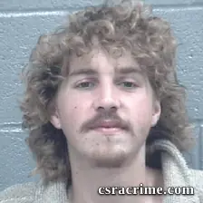 Chandler Williams booking photo