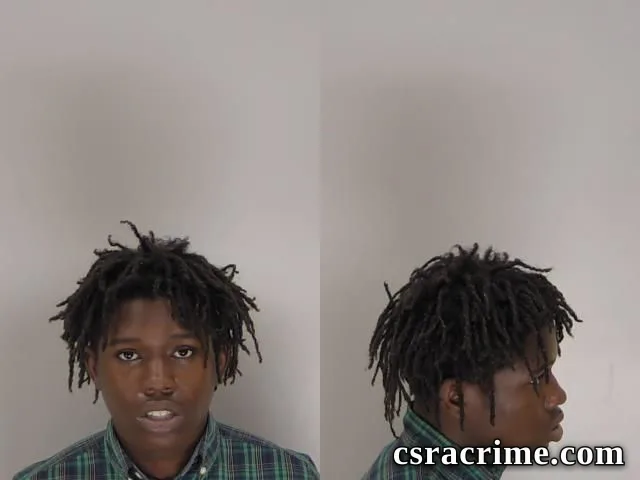 Chandley Roney JR booking photo