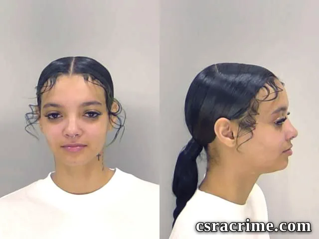 Chantelle Prawdzik booking photo