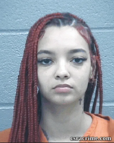 Chantelle Prawdzik booking photo