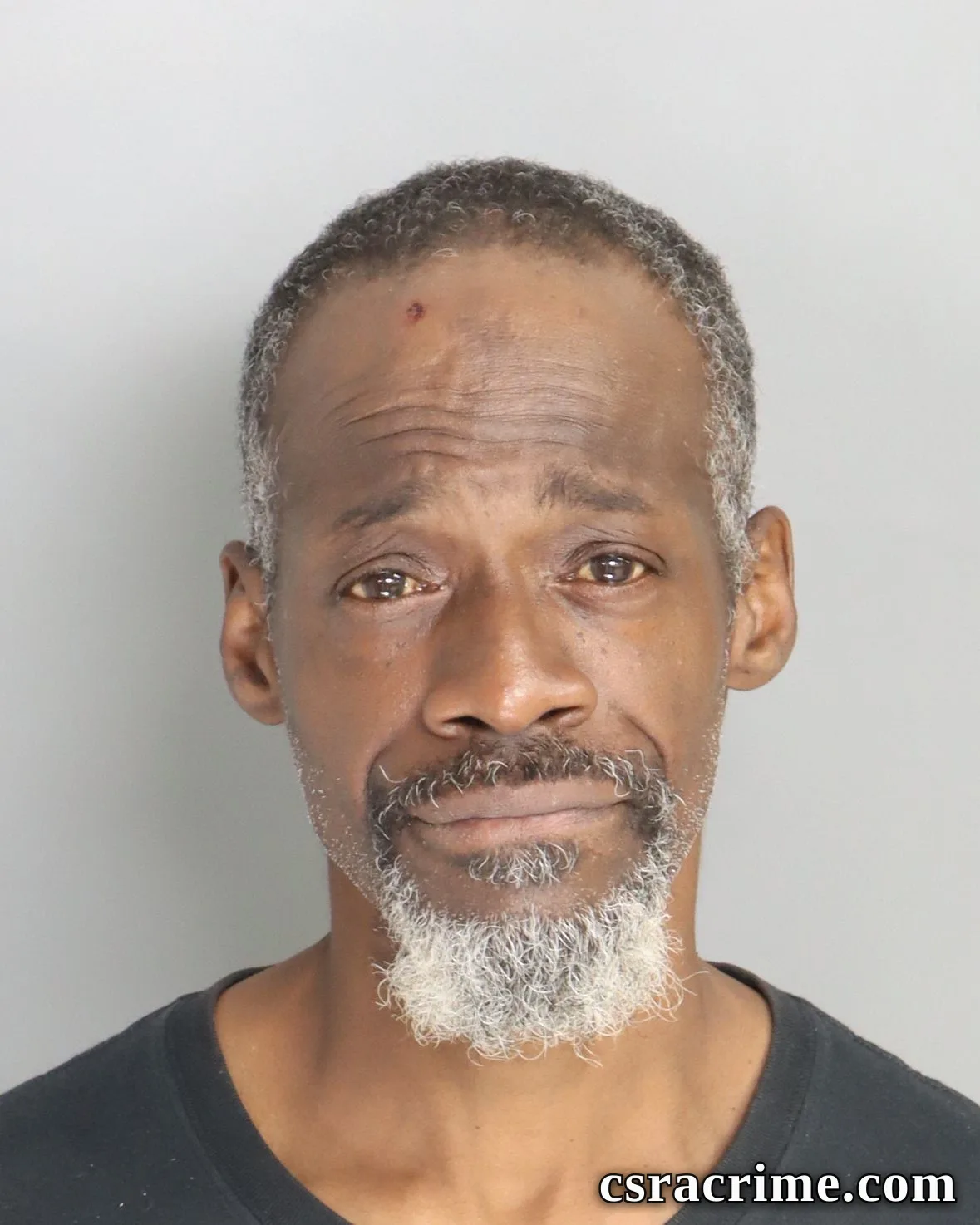 Charles Cummings JR booking photo