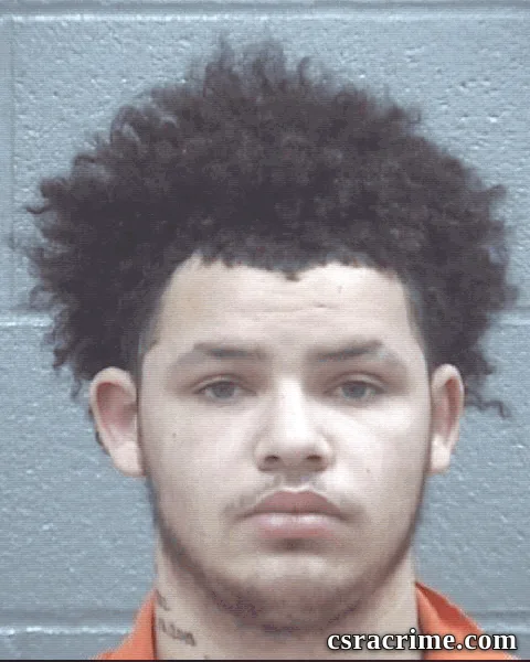 Charles Lowe booking photo