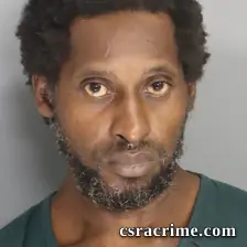 Charles Mavins JR booking photo