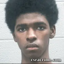 Chastine Burnette booking photo