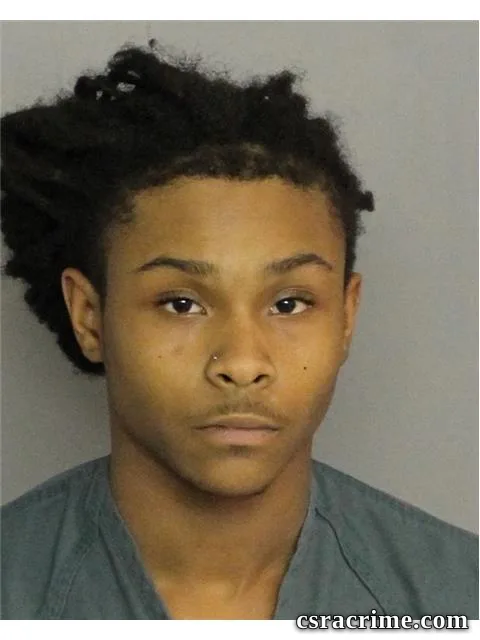 Chauncelle Hampton booking photo
