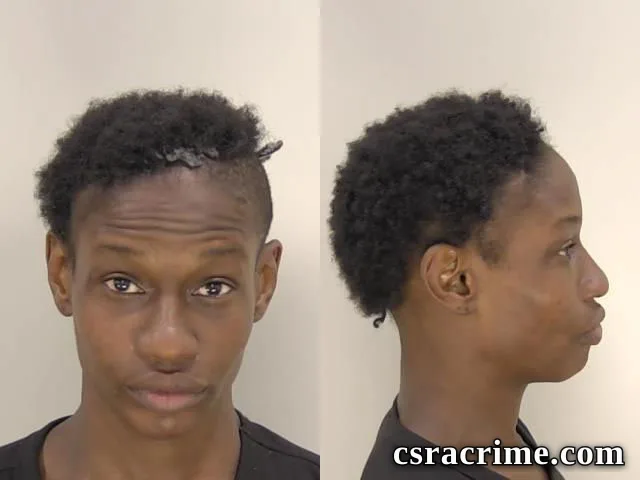 Chelsea Hill booking photo