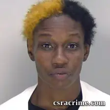 Chelsea Hill booking photo